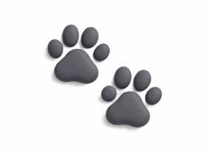 Pets